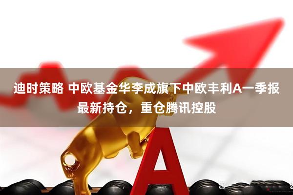 迪时策略 中欧基金华李成旗下中欧丰利A一季报最新持仓，重仓腾讯控股