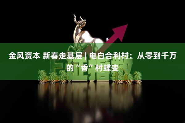 金风资本 新春走基层 | 电白合利村：从零到千万的“香”村蝶变